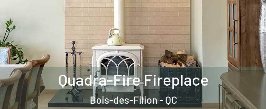  Quadra-Fire Fireplace Bois-des-Filion - QC