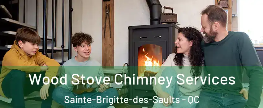  Wood Stove Chimney Services Sainte-Brigitte-des-Saults - QC