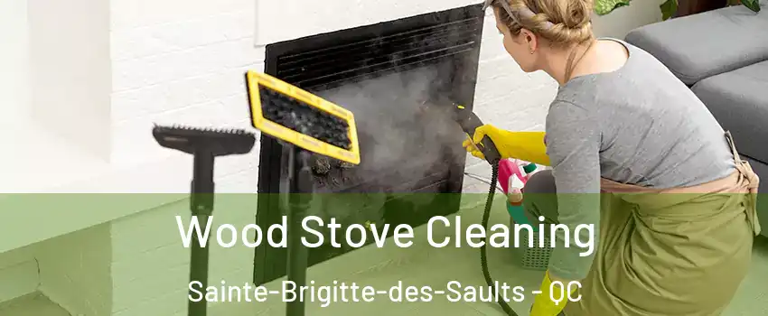  Wood Stove Cleaning Sainte-Brigitte-des-Saults - QC