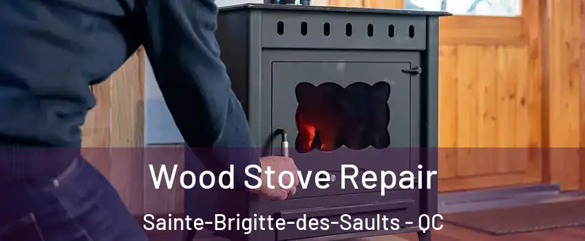 Wood Stove Repair Sainte-Brigitte-des-Saults - QC